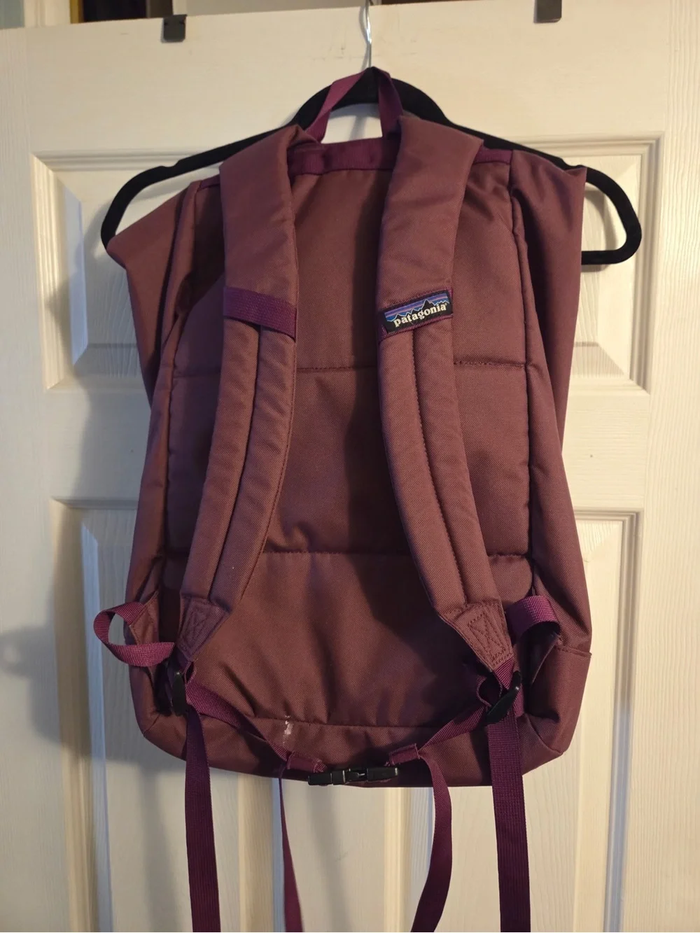 Patagonia Plum Backpack with Teal Trim, Outdoors, Gorpcore, Hiking, Camping